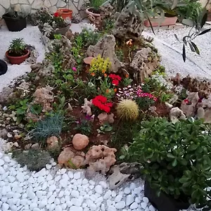 https://apartmani-poljanec.hotelinzadar.com